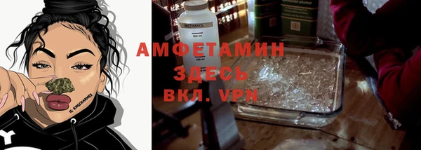 прущая мука Вяземский