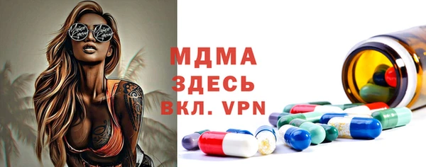 индика Гусь-Хрустальный