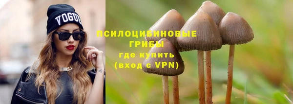 прущая мука Вяземский