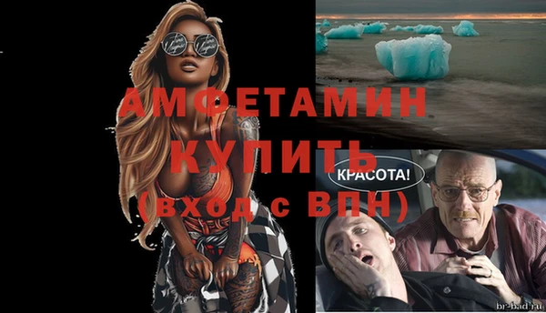прущая мука Вяземский