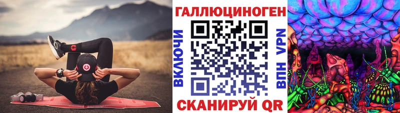 Купить  Клин  Псилоцибиновые грибы Cubensis 